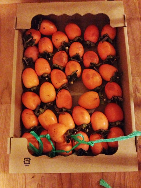 {FB0203AD-72FA-4B43-845A-5D283AD2DA57:01}