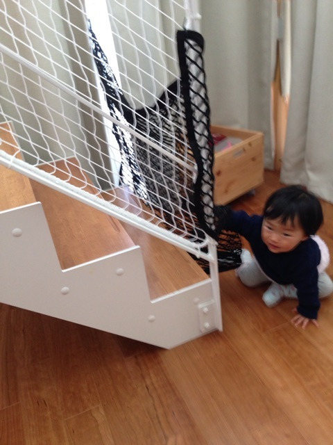 {7CF344CB-AED3-4892-AC74-2EC99B4F961B:01}