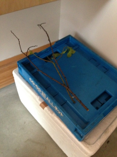 {50892B12-3A8F-4858-8F8C-1FD9C16F1198}