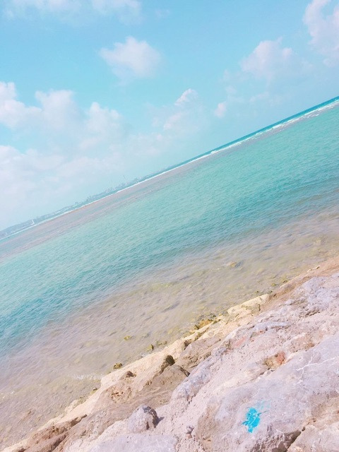 {AA0085F0-B77E-4EF1-BCA9-6483C2EACD69}