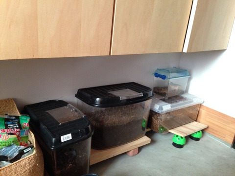 {99F03903-42EF-4234-AC54-29E04B30E935}