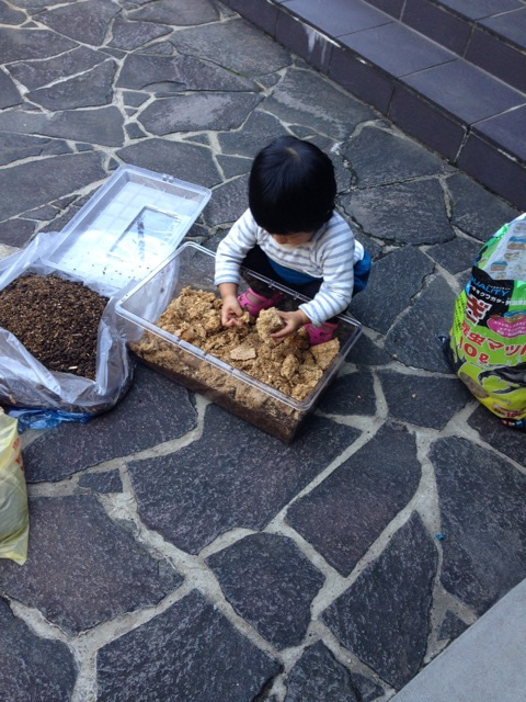 {55CCEC32-5C7F-477B-882F-64DAFB85BFE4}