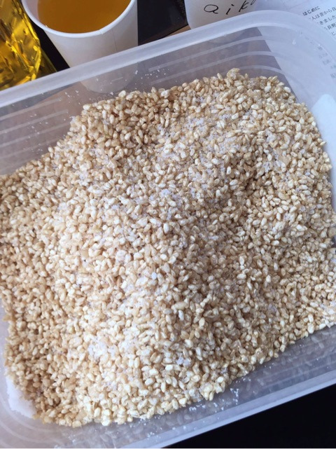 {52366FBF-138C-477D-B364-F194EA458333}