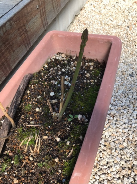 {321FF39C-4ADF-4402-9E70-6252EE691ACA}