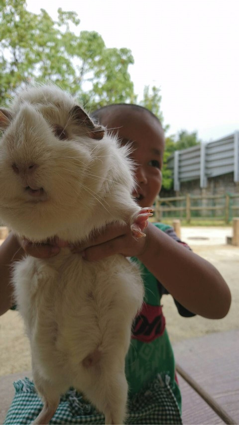 {97D7FFB9-3F4B-43A6-968B-991AC7879F4A}