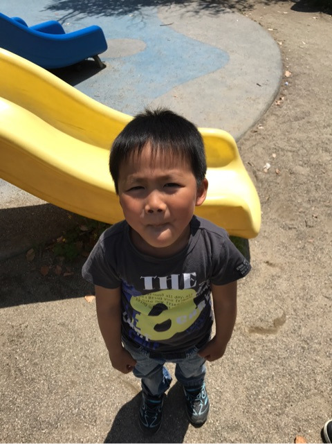 {F3691359-BDC1-40AE-826A-A02A68AD5145}