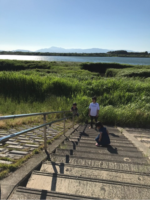 {D37BDA83-4383-492A-B786-7F0B16D1A370}