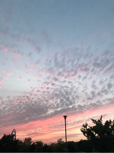 {8F0BBA99-F38C-4493-9528-9B573B11FF37}