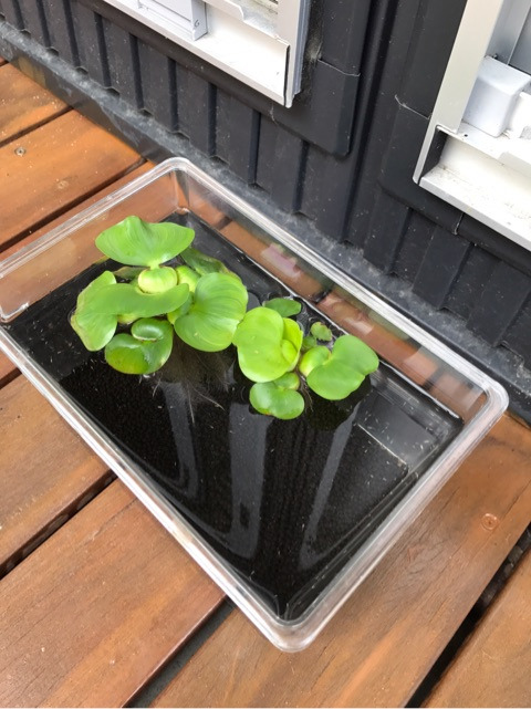 {DA04A869-9C96-4B05-BA4F-6FDCE2C738CF}