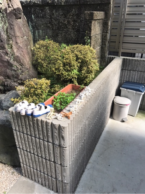 {E3A17123-4ED1-46AB-9112-42DF898FA90E}