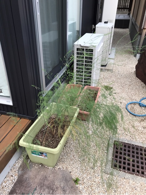 {C3D74E6E-4354-41F1-83C4-FD5C9ECAB7E8}