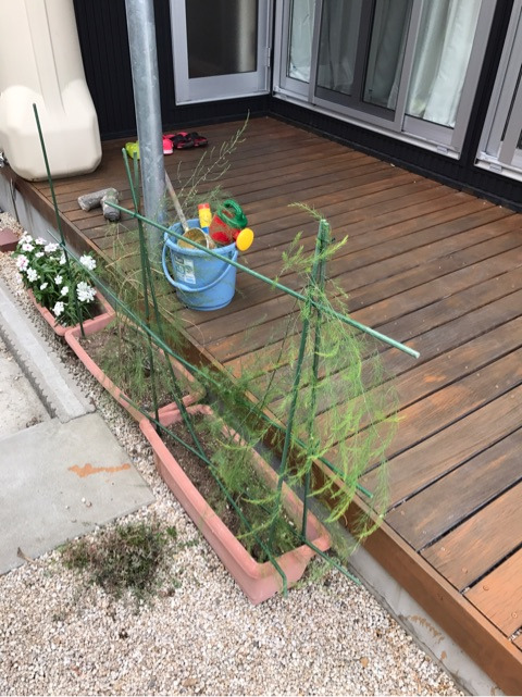 {16A61183-09FE-45EB-9457-8243CD75C8A1}