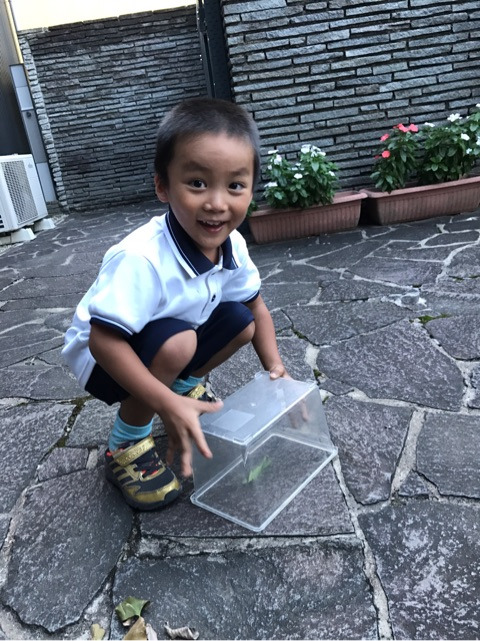 {25205C03-8781-4FBF-A3B5-A26AAA306DA1}