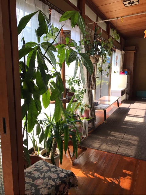 {06DDFBBA-0C19-4CF9-B5B1-A5ABAA21FF33}