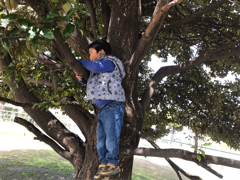 {81448777-4269-42C2-8EF7-49A5E9610529}