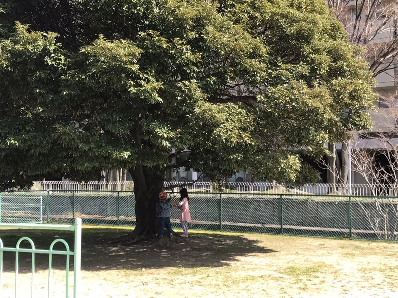 {EBCC9E43-92B6-41DC-ACC9-85F5090C26B0}