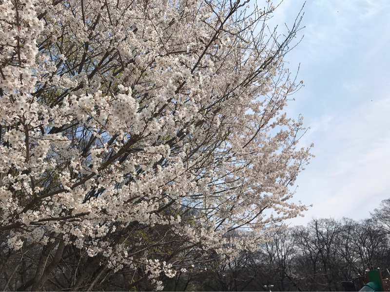 {AA4ADFFB-4AA3-40A6-AFB7-A19FE7223B4B}