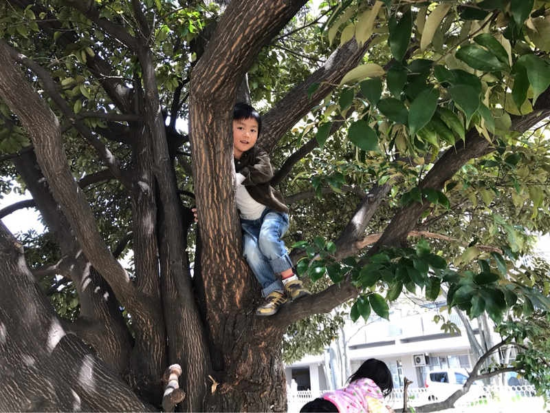 {0FCBBB4E-5763-4C8B-8CA4-378AB3499B55}