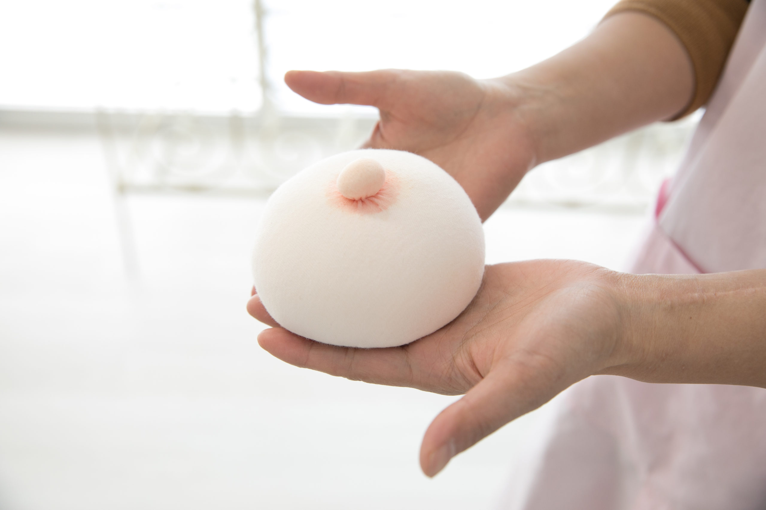 おっぱいの模型